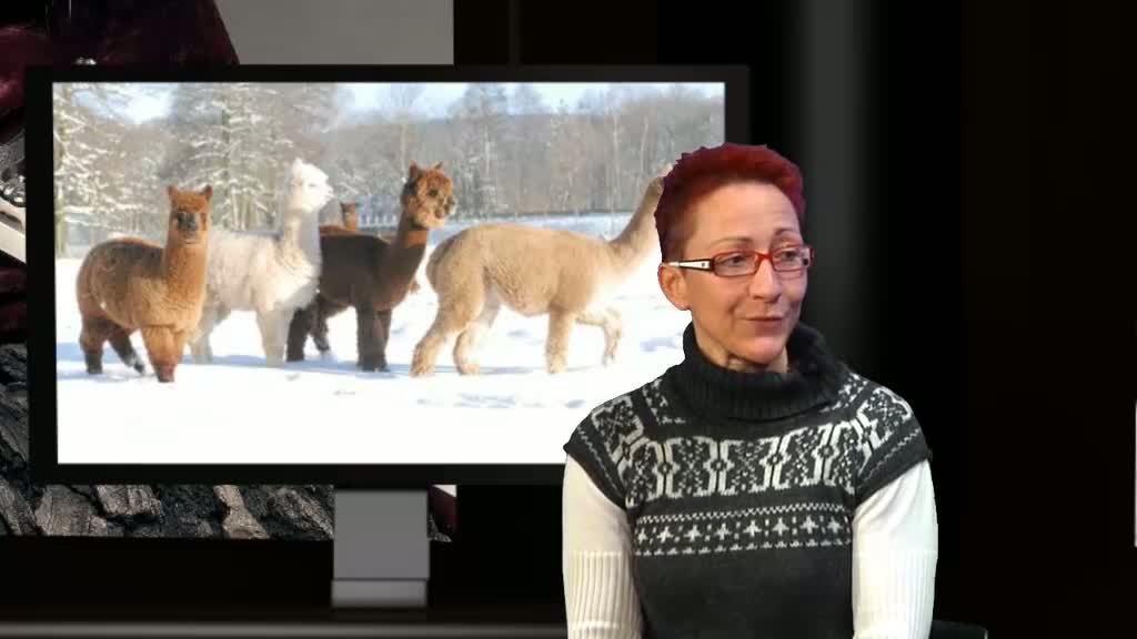 Video ansehen