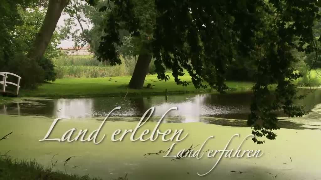 Video ansehen