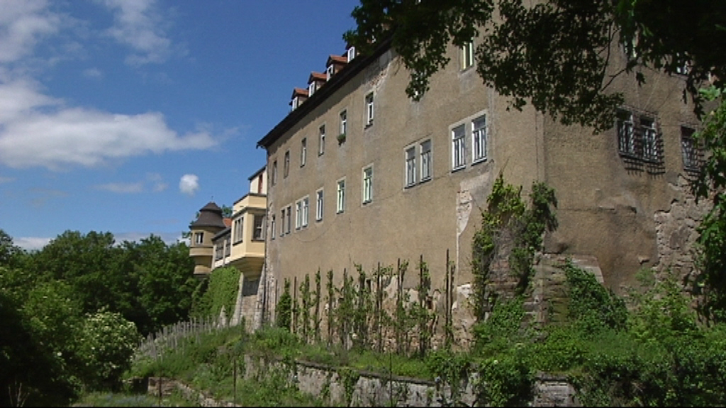 Video ansehen