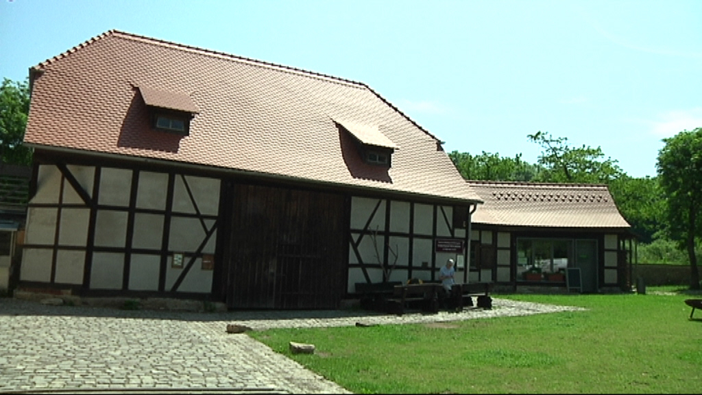 Video ansehen