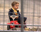 Video ansehen